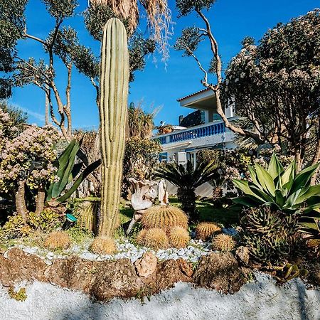 Appartamenti Ischia Casa Don Peppe Forio di Ischia Εξωτερικό φωτογραφία