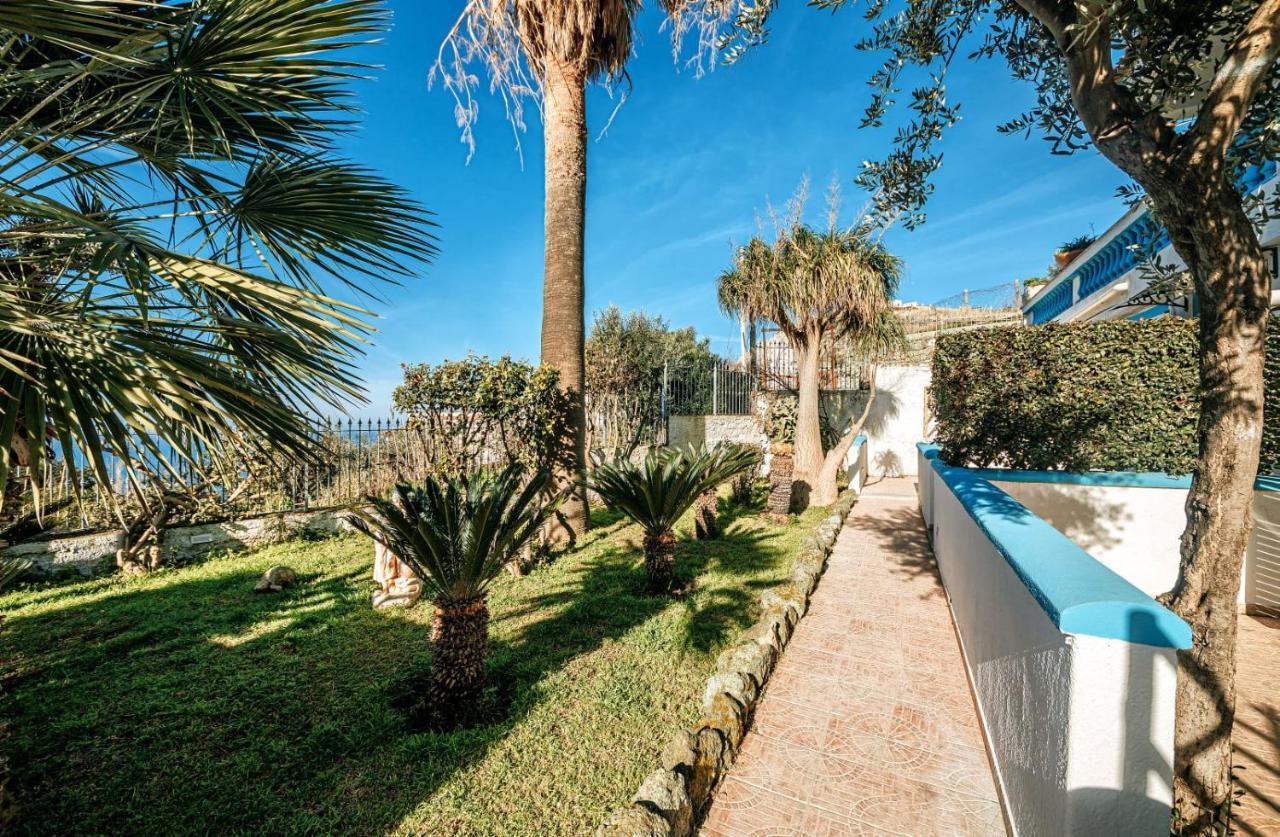 Appartamenti Ischia Casa Don Peppe Forio di Ischia Εξωτερικό φωτογραφία