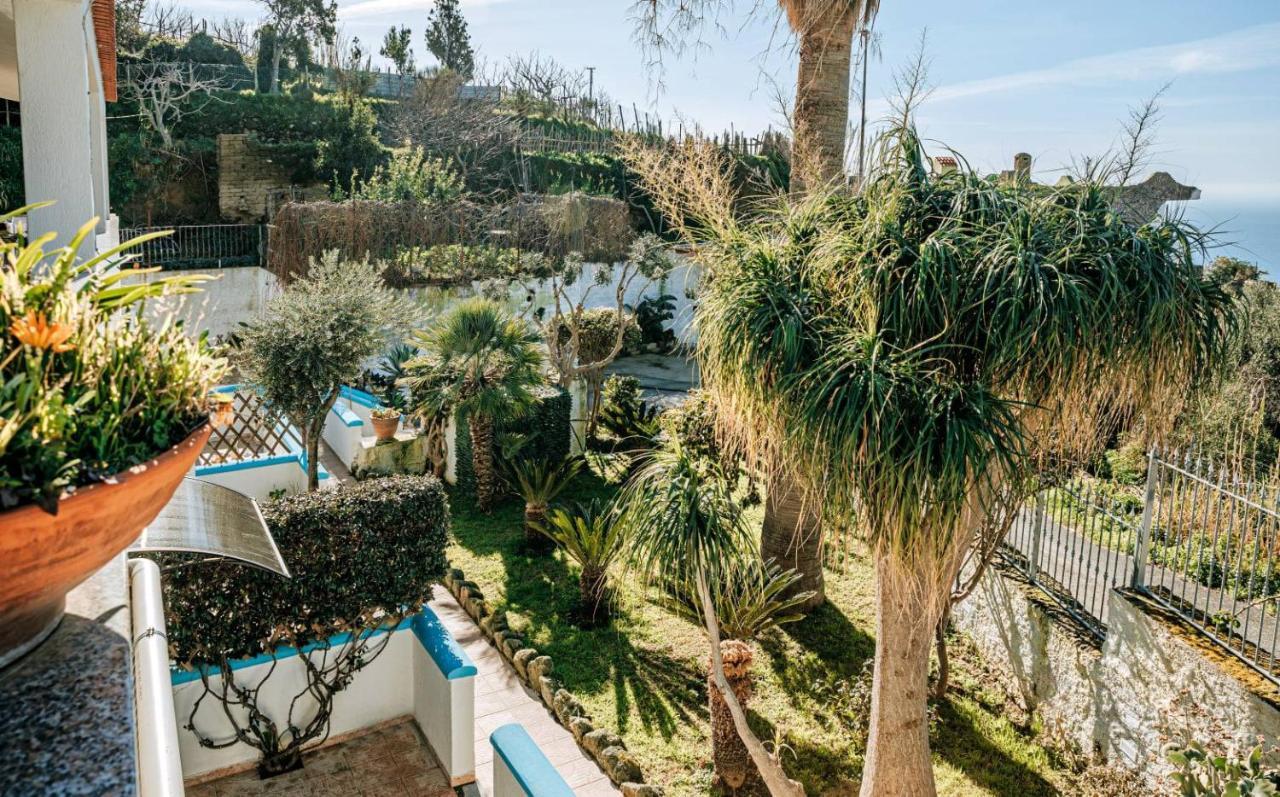 Appartamenti Ischia Casa Don Peppe Forio di Ischia Εξωτερικό φωτογραφία