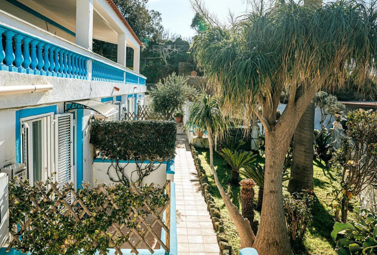 Appartamenti Ischia Casa Don Peppe Forio di Ischia Εξωτερικό φωτογραφία