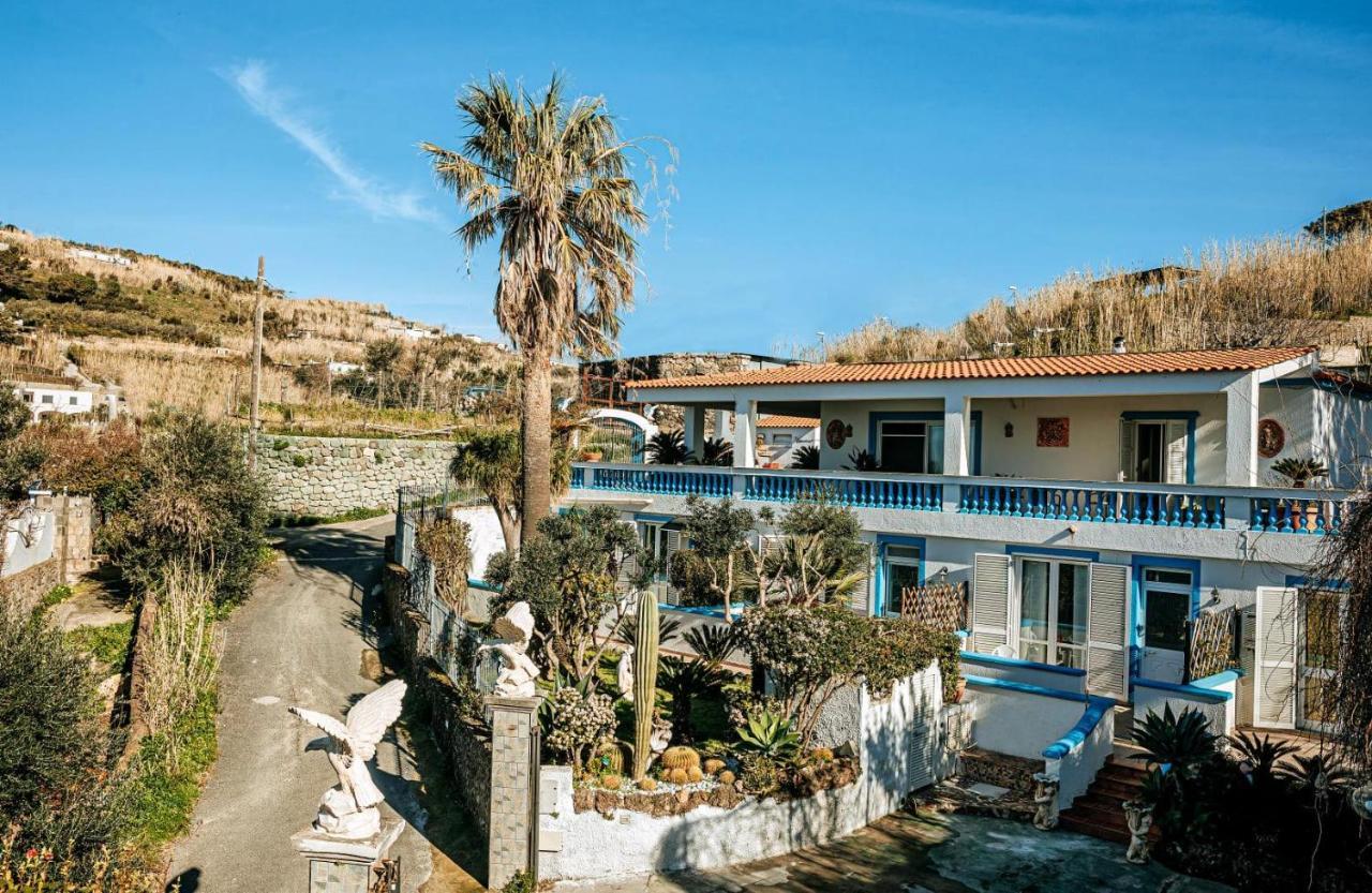 Appartamenti Ischia Casa Don Peppe Forio di Ischia Εξωτερικό φωτογραφία